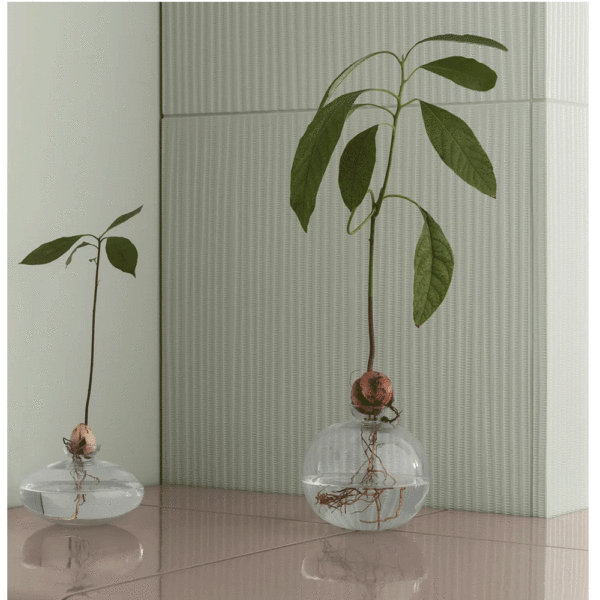 série vase AVO, BLOMUS