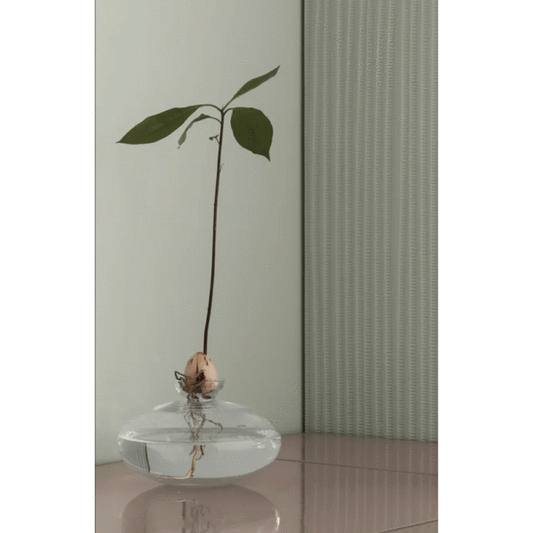 64667, vase AVO, BLOMUS, taille S