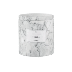 Bougie parfumée -FRABLI- couleur, Sharkskin - taille L, parfum : Tonga, BLOMUS